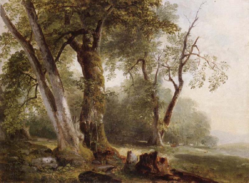 Asher Brown Durand Landscape with Beech Tree oil painting image